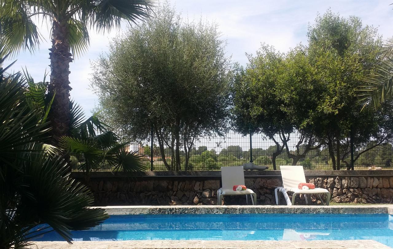 Villa Pleta *